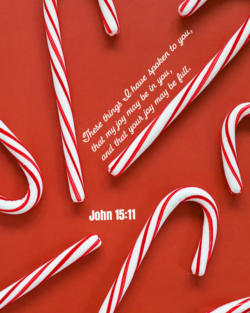 john 15-11